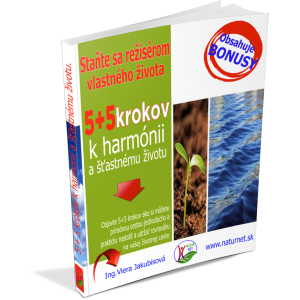 Staňte sa režisérom vlastného života. /e-Book /